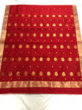 Authentic Chanderi Silk Cotton Saree in Red with Golden Zari and gold butties all over the saree.