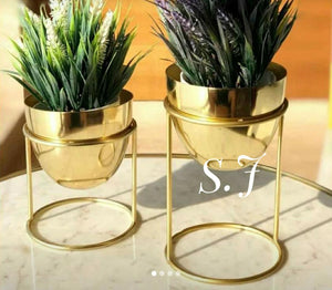 SET OF 2 , PLANTER FOR YOUR  INDOOR GARDEN -SKDPS001